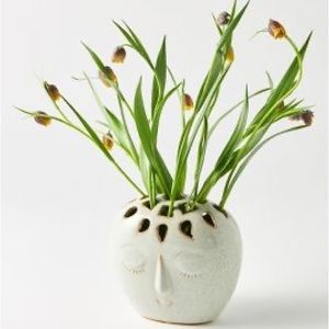 Anthropologie Freya Vase - never used!